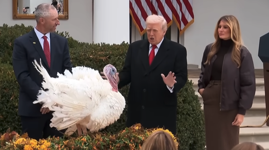 Trump pardons turkeys